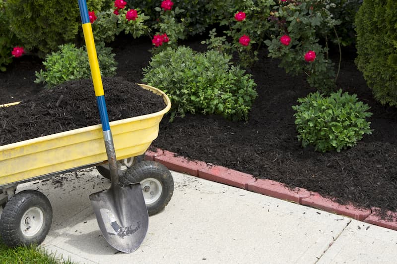 What Are The Benefits Of Mulching?