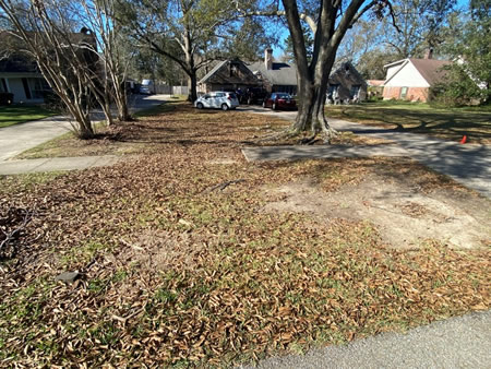 Spring lawn care checklist for prairieville homeowners