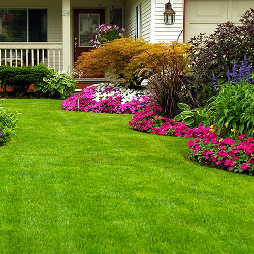 Lawn maintenance